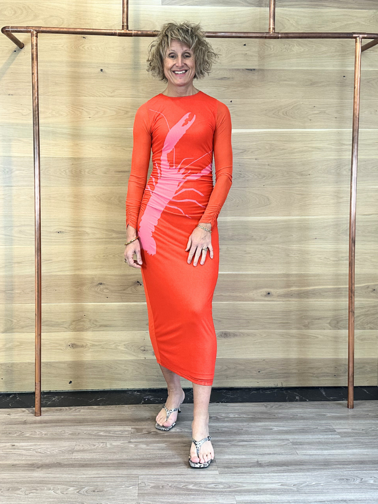 Fabienne Chapot Sionara Dress Red/Pink